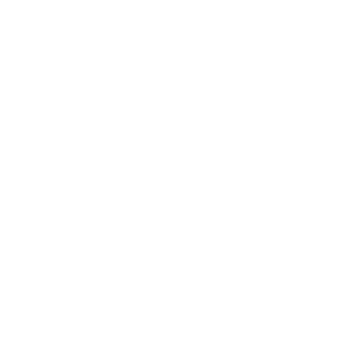 Secured Payment Icon