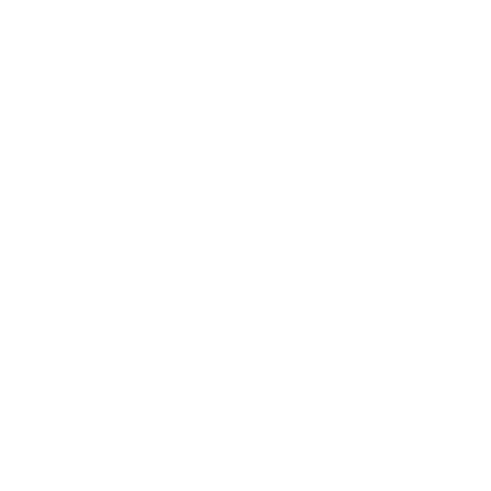 Customer Support Icon