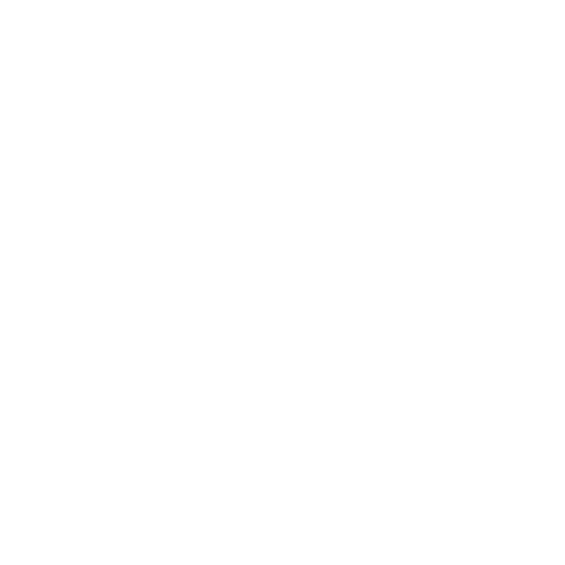 Secured Payment Icon